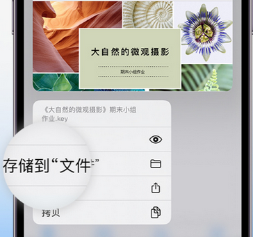 修水apple维修中心分享iPhone文件应用中存储和找到下载文件