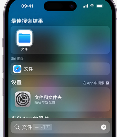 修水apple维修中心分享iPhone文件应用中存储和找到下载文件 