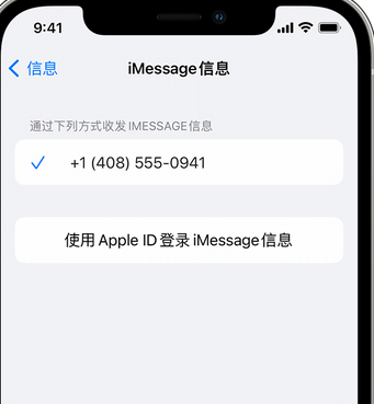 修水apple维修iPhone上无法正常发送iMessage信息 