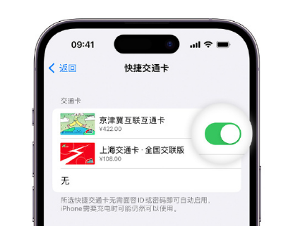 修水apple维修点分享iPhone上更换Apple Pay快捷交通卡手绘卡面 