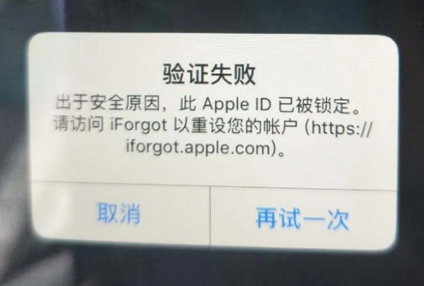 修水iPhone维修分享iPhone上正常登录或使用AppleID怎么办 