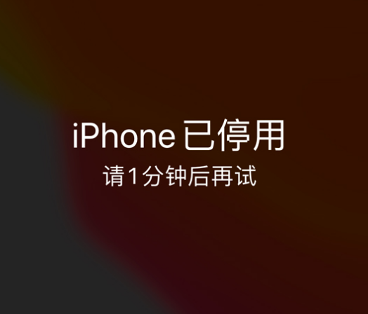 修水苹果手机维修分享:iPhone 显示“不可用”或“已停用”怎么办？还能保留数据吗？ 