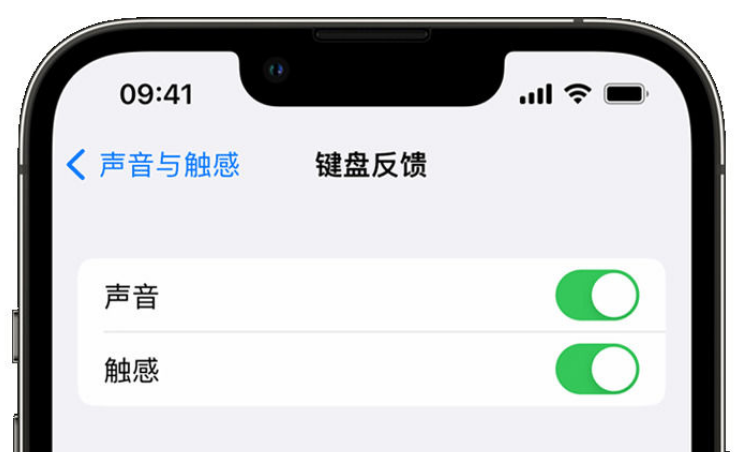 修水苹果手机维修分享iPhone 14触感键盘使用方法 