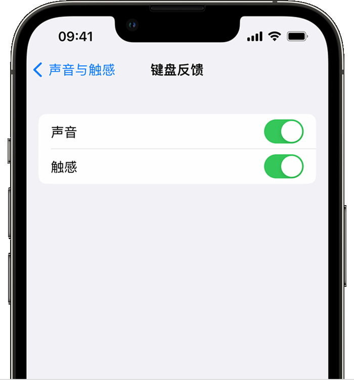 修水苹果14维修店分享如何在 iPhone 14 机型中使用触感键盘 