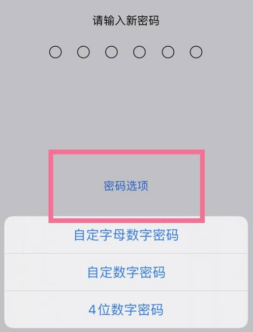 修水苹果14维修分享iPhone 14plus设置密码的方法 