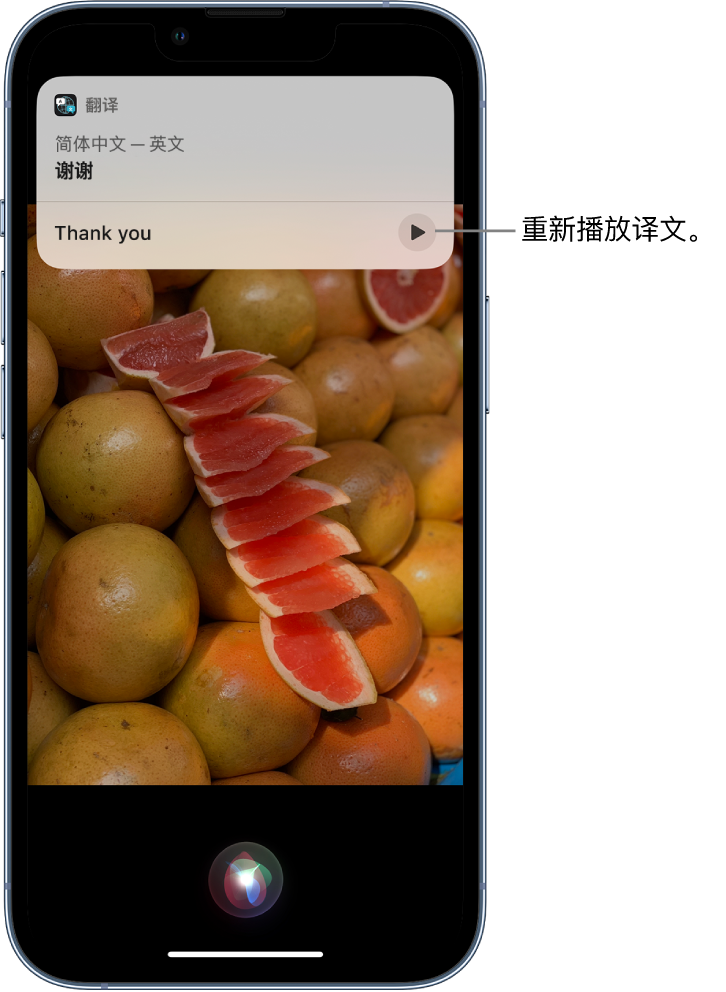 修水苹果14维修分享 iPhone 14 机型中使用 Siri：了解 Siri 能帮你做什么 